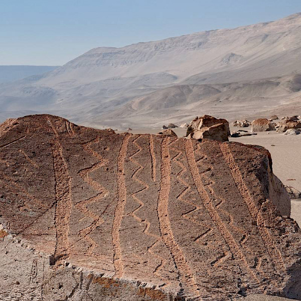 Peru Tour - Muerto Toro