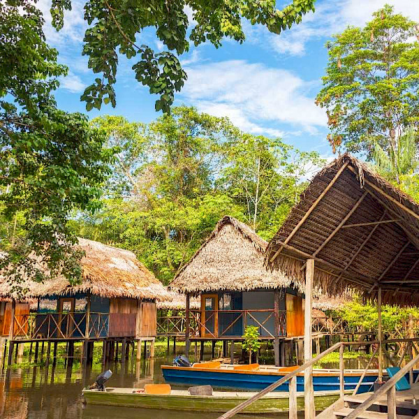 Tambopata National Reserve