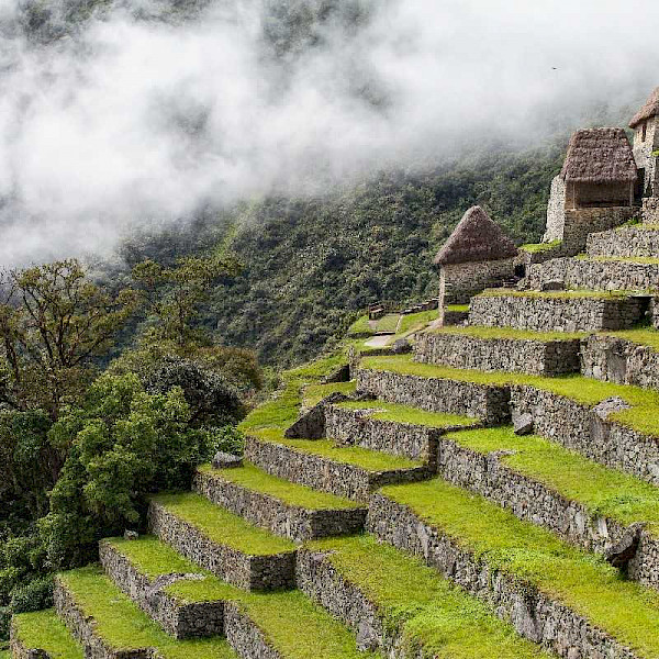 Machu Picchu Tour