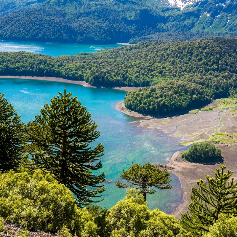 Conguillio National Park