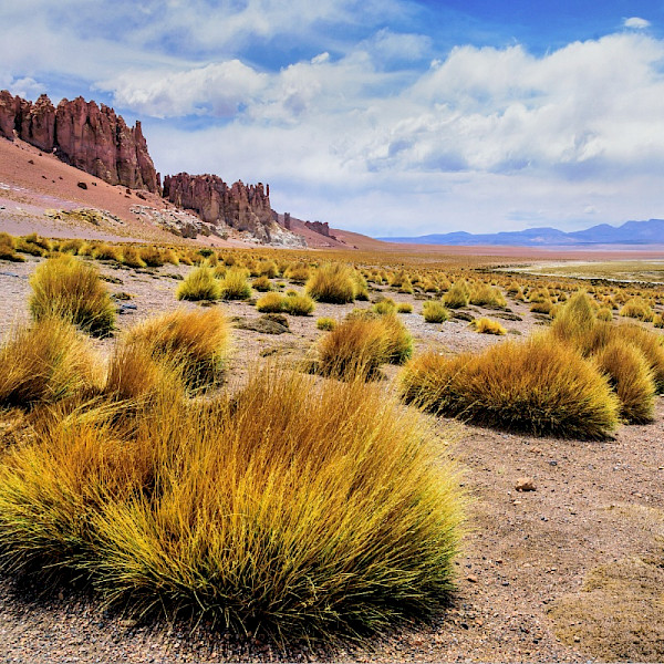 Atacama Desert