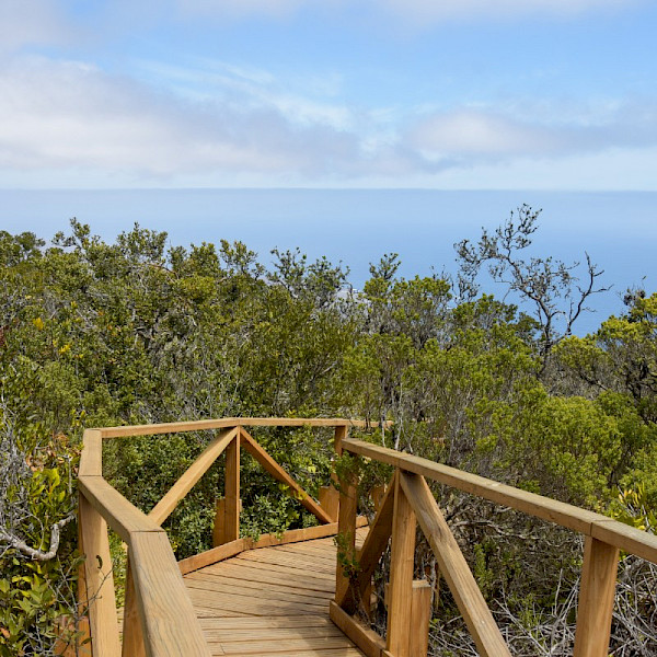 Fray Jorge National Park