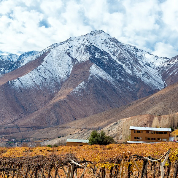 The Elqui Valley