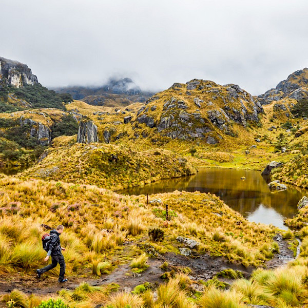 Cajas National Park