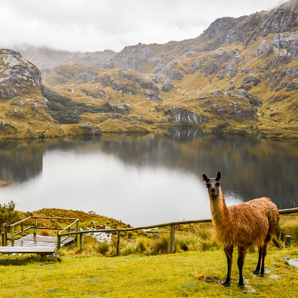 Cajas National Park