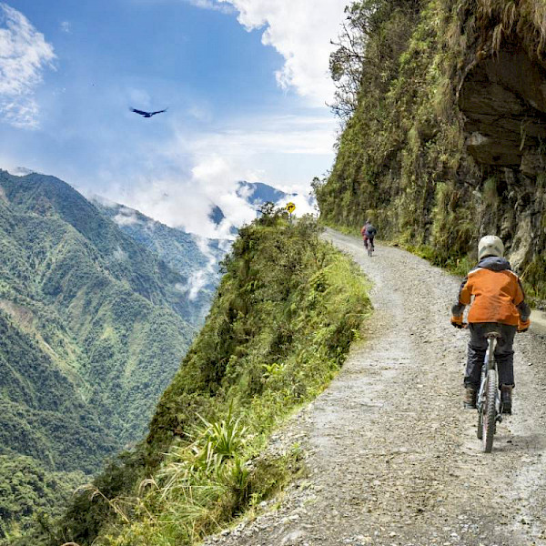 Cycle Yungas Road