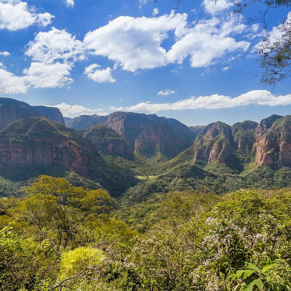Amboro National Park visit