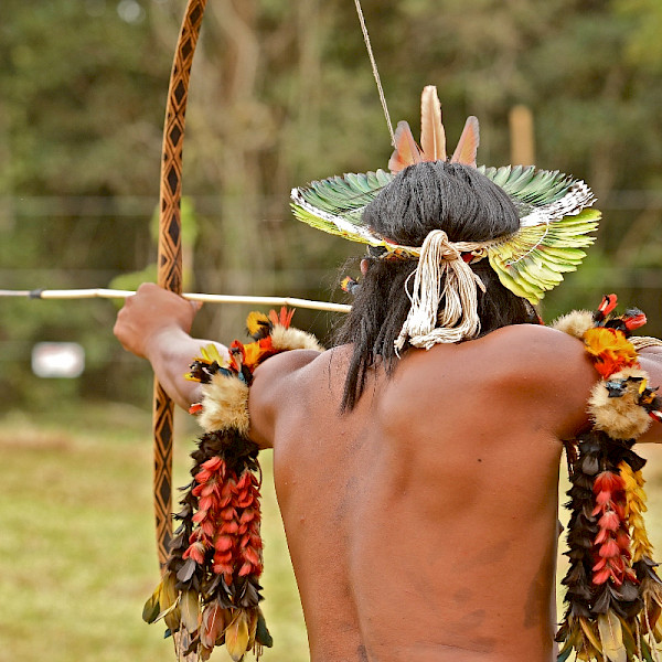 Indigenous Amazon