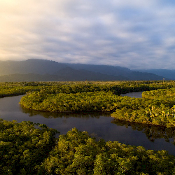 January Ecological Park