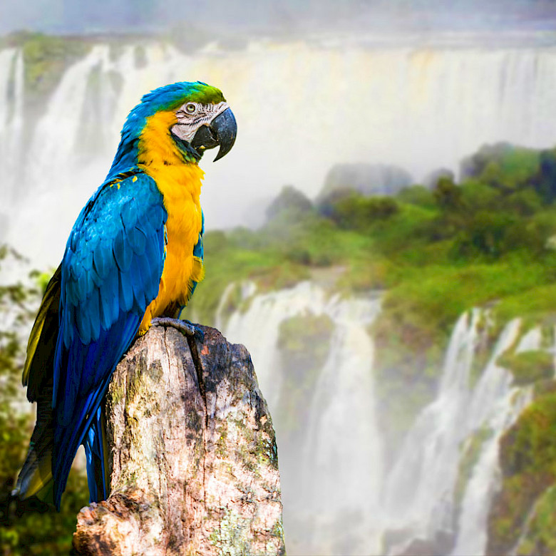 Argentina Holidays - Iguazu Falls