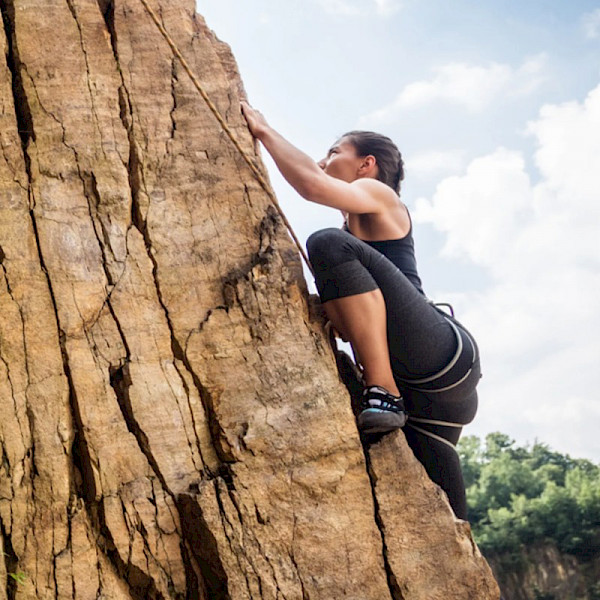 Pantanal and Central Brazil Private Tours Uncover South America