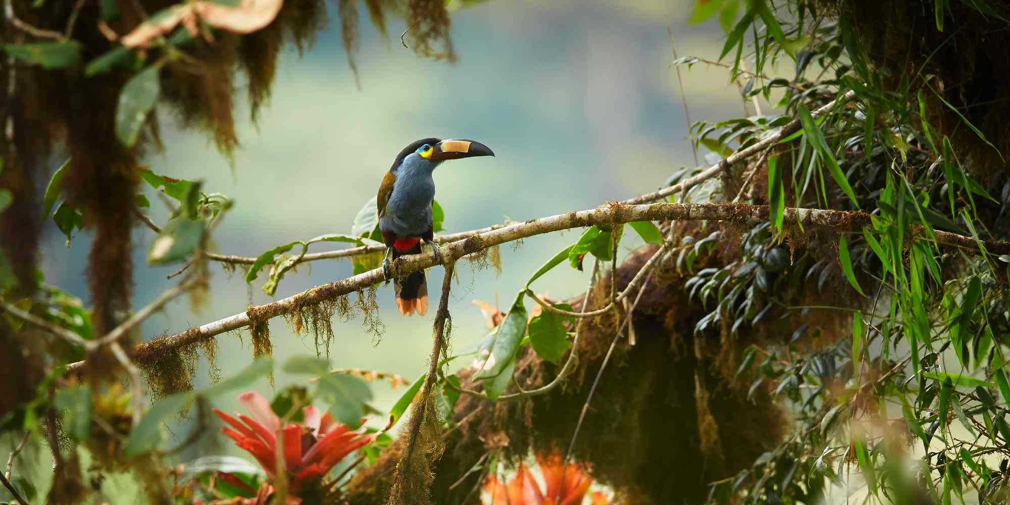 Holidays South America