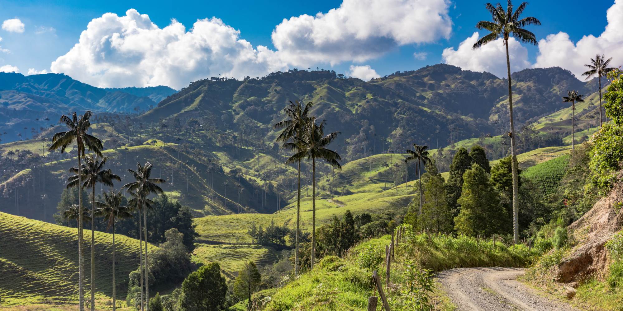 Our favourite things to do in Colombia's Coffee Region Uncover South