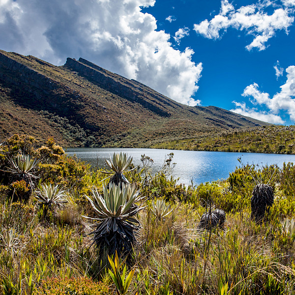 Chingaza Natural Park