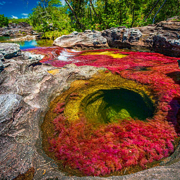 Cano Cristales