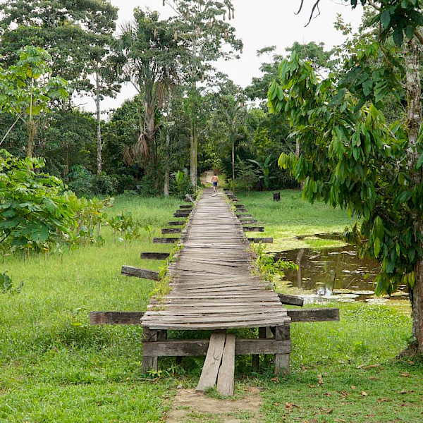 Tanimboca Natural Reserve