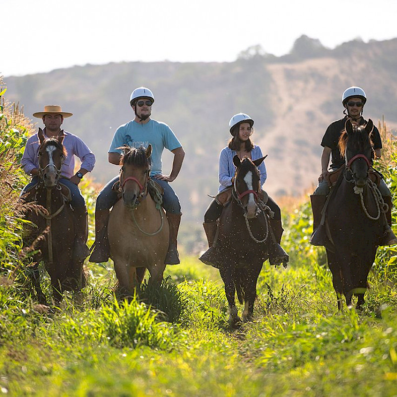 Pampean Region, Argentina