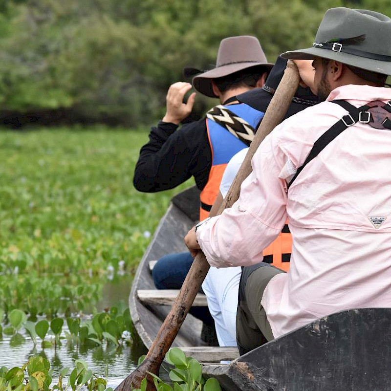 Los Llanos, Colombia