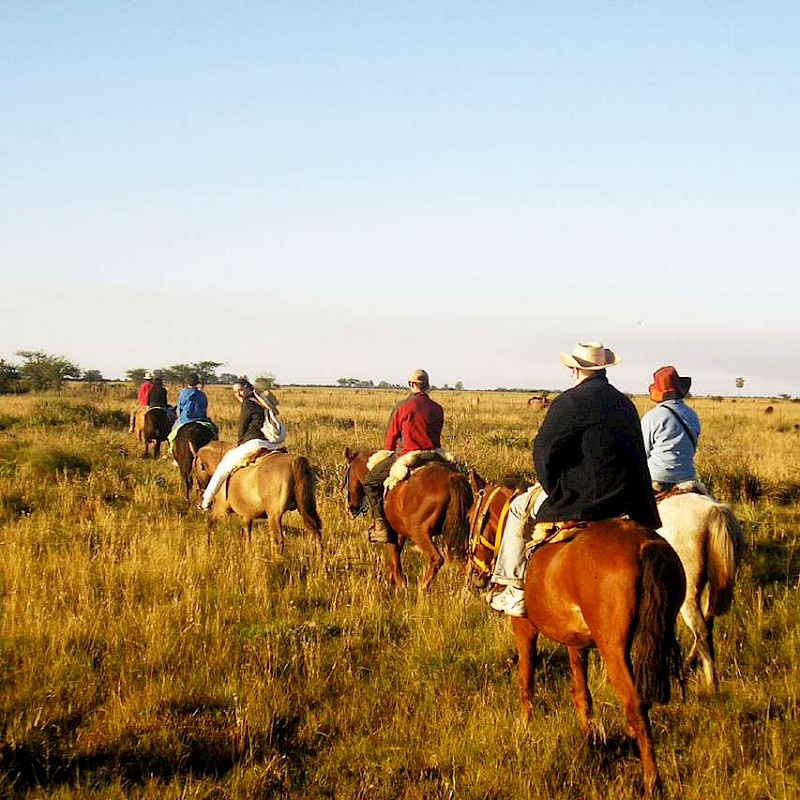 Gaucho Argentina