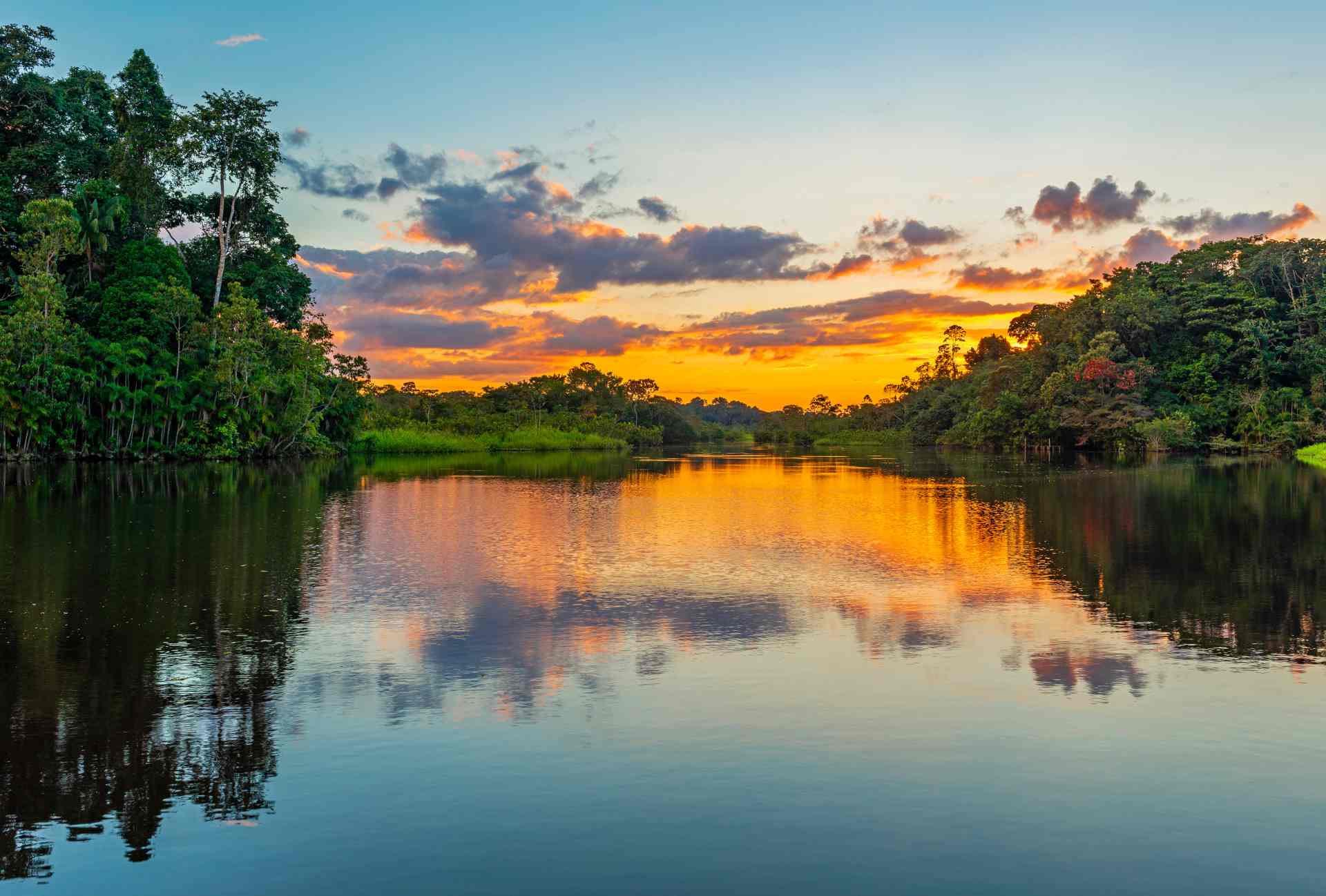 When Feathers Were the Treasures of the Rainforest