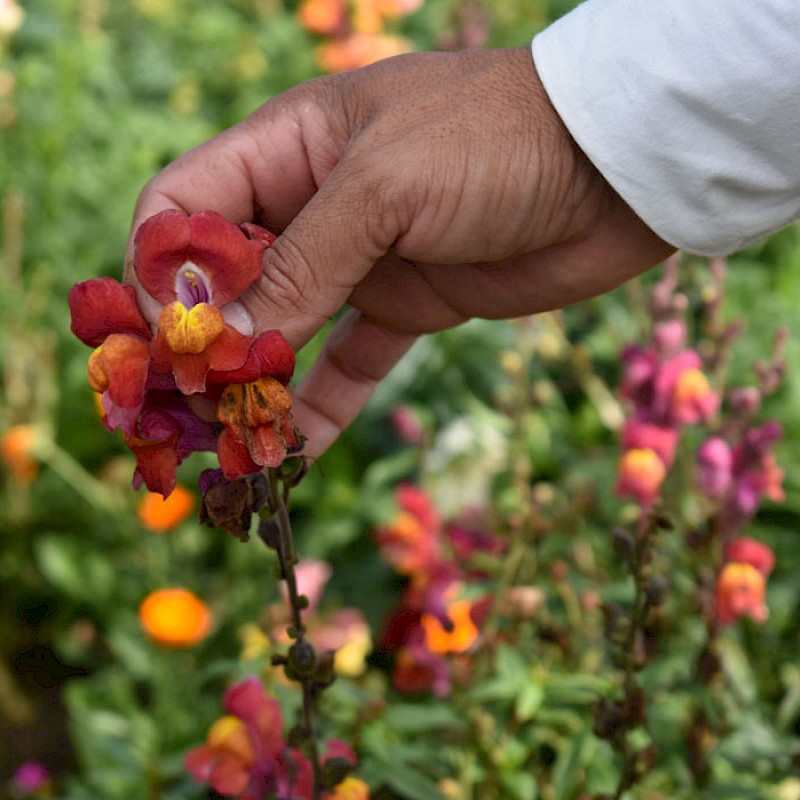 Santa Elena, Antioquia
